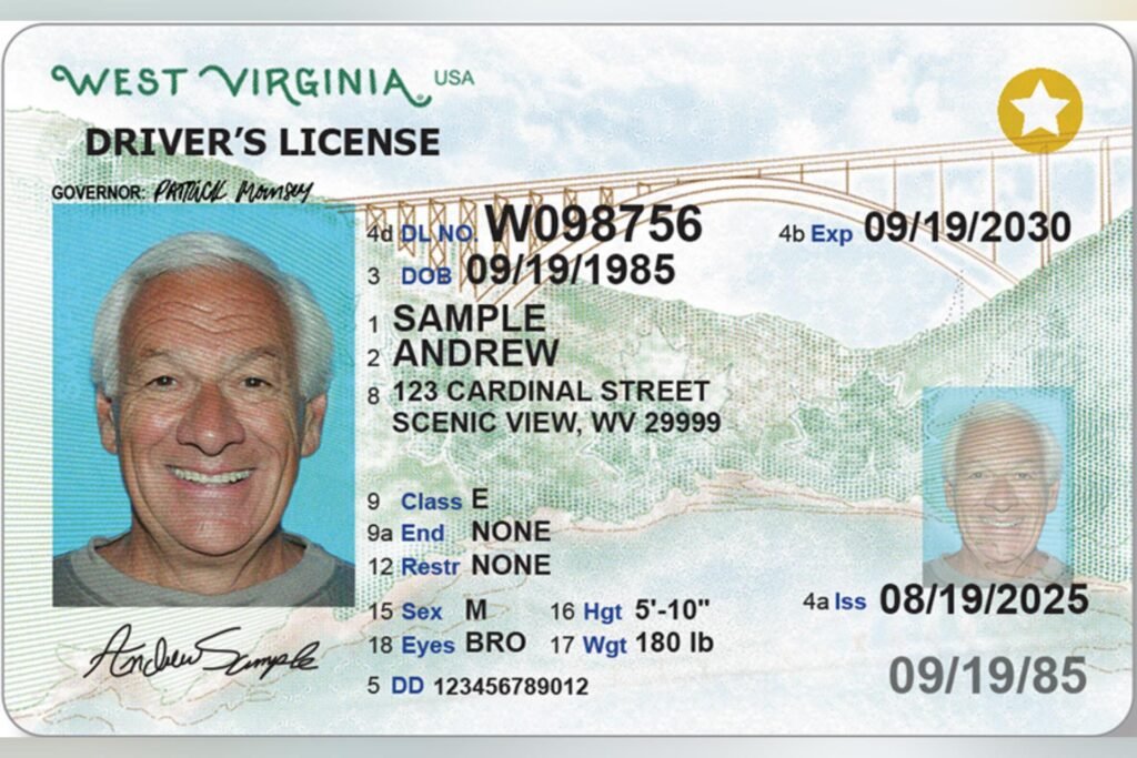 Genuine government-registered driver’s license – buy, renew, replace, or exchange foreign license – REAL ID and enhanced license options – suspended license reinstatement – authentic, legal, and verifiable Class B licenses for USA, Canada, and Europe – secure 5-day delivery from Genuinedrivinglicense.com