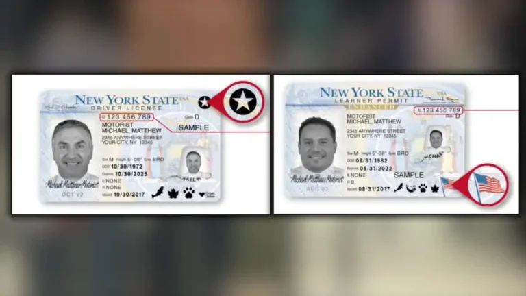 Genuine government-registered driver’s license – buy, renew, replace, or exchange foreign license – REAL ID and enhanced license options – suspended license reinstatement – authentic, legal, and verifiable Class B licenses for USA, Canada, and Europe – secure 5-day delivery from Genuinedrivinglicense.com