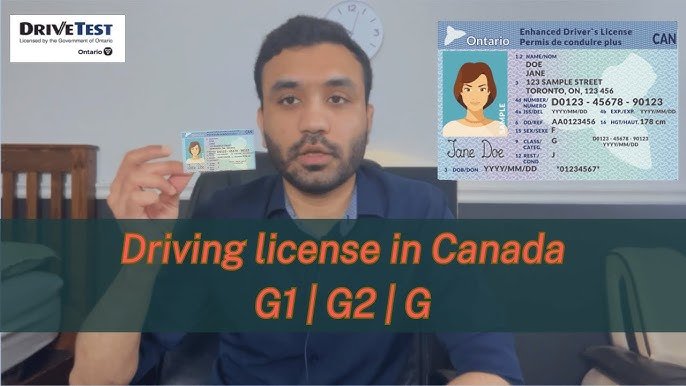 Genuine government-registered driver’s license – buy, renew, replace, or exchange foreign license – REAL ID and enhanced license options – suspended license reinstatement – authentic, legal, and verifiable Class B licenses for USA, Canada, and Europe – secure 5-day delivery from Genuinedrivinglicense.com