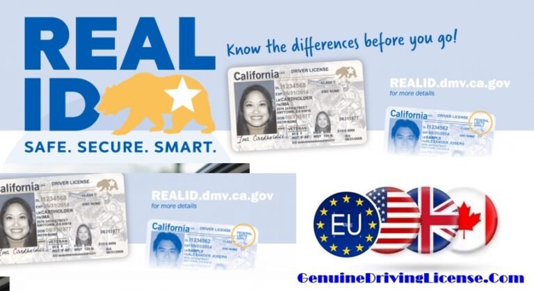Genuine government-registered driver’s license – buy, renew, replace, or exchange foreign license – REAL ID and enhanced license options – suspended license reinstatement – authentic, legal, and verifiable Class B licenses for USA, Canada, and Europe – secure 5-day delivery from Genuinedrivinglicense.com