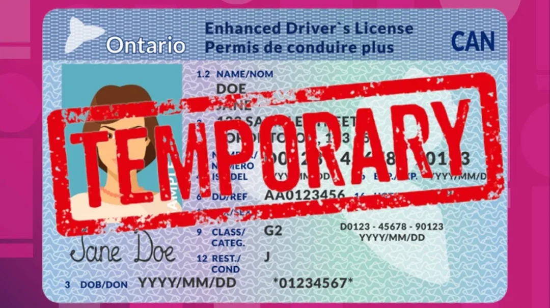 Genuine government-registered driver’s license – buy, renew, replace, or exchange foreign license – REAL ID and enhanced license options – suspended license reinstatement – authentic, legal, and verifiable Class B licenses for USA, Canada, and Europe – secure 5-day delivery from Genuinedrivinglicense.com
