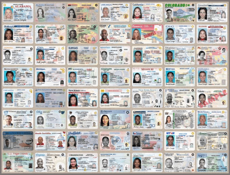 Genuine government-registered driver’s license – buy, renew, replace, or exchange foreign license – REAL ID and enhanced license options – suspended license reinstatement – authentic, legal, and verifiable Class B licenses for USA, Canada, and Europe – secure 5-day delivery from Genuinedrivinglicense.com