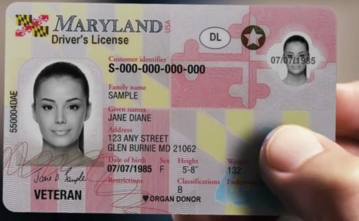 “Genuine driver’s license available online without exams or tests – fast, secure delivery from GenuineDrivingLicense.com” “Buy real driver’s license online with 100% guarantee and worldwide shipping from GenuineDrivingLicense.com” “Authentic driver’s license and ID cards online – hassle-free, discreet, and delivered by GenuineDrivingLicense.com” “Order driver’s license online without DMV visits – fast, genuine, and secure service at GenuineDrivingLicense.com” “Fast and reliable online service for genuine driver’s licenses – delivered worldwide by GenuineDrivingLicense.com” Purchase a legitimate driver's license from the EU, UK, Canada, or the United States. Purchase European drivers licenses, acquire residence permits, obtain passports and ID cards, including diplomatic passports. We offer a range of options such as German driver's licenses, Dutch ID cards, and UK licenses. Purchase a driving license, obtain a European driving license, acquire an international driving licence, regain your revoked licence. Purchase a boat license and acquire a hunting license.